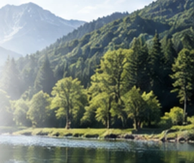 Forests and water in a mountain landscape